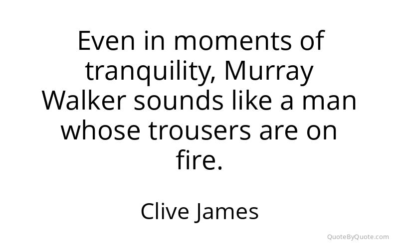 Preview image for this quote by Clive James