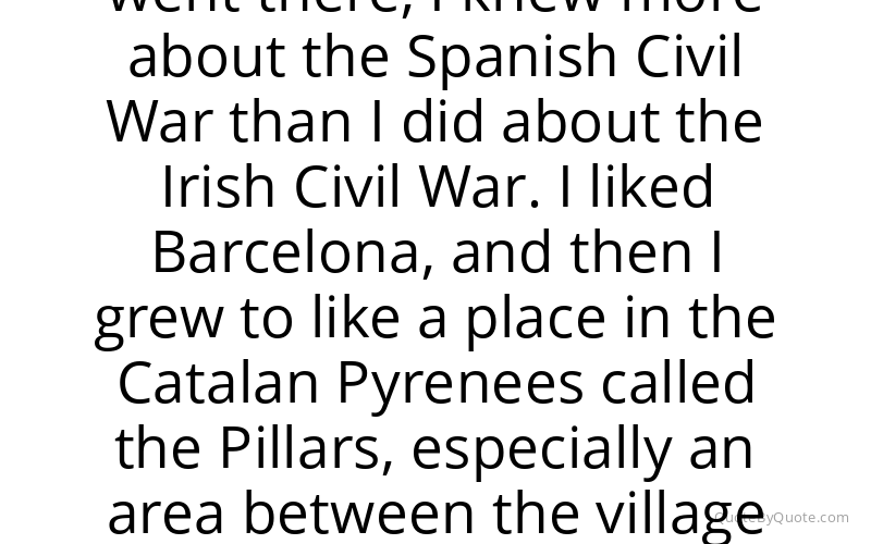 Preview image for this quote by Colm Toibin