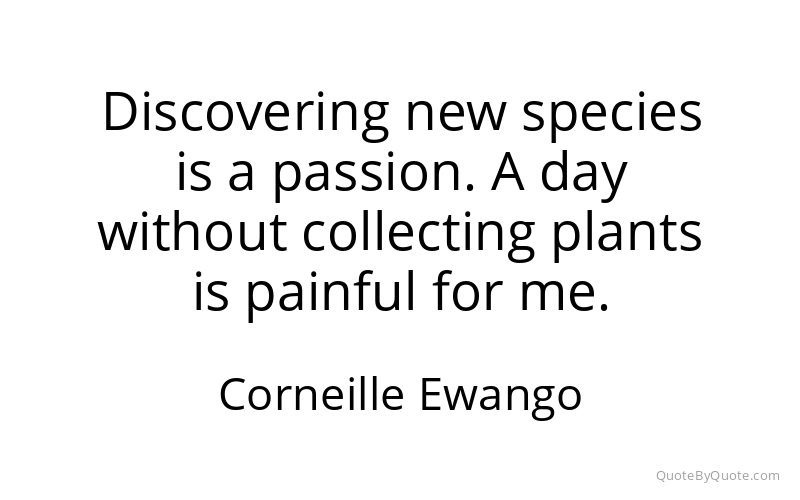 Preview image for this quote by Corneille Ewango