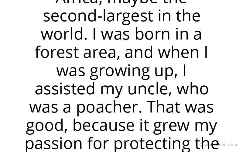 Preview image for this quote by Corneille Ewango