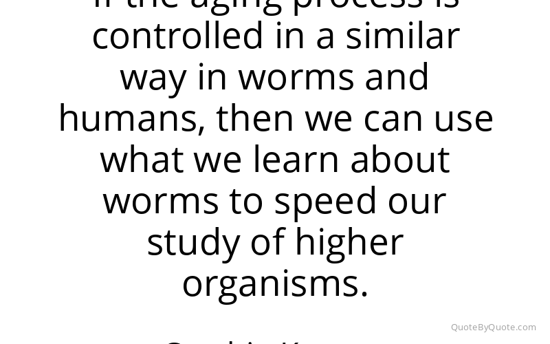 Preview image for this quote by Cynthia Kenyon