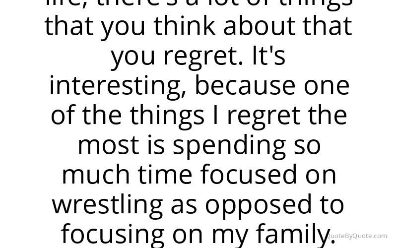 Preview image for this quote by Daniel Bryan