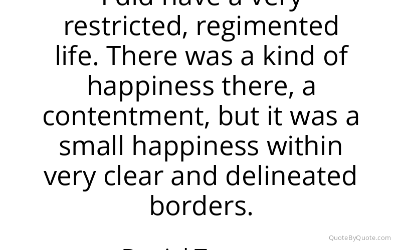 Preview image for this quote by Daniel Tammet