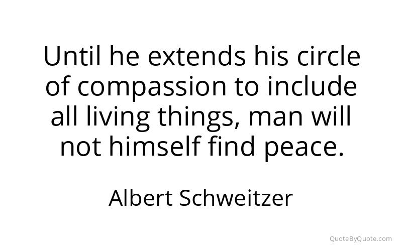 Preview image for this quote by Albert Schweitzer