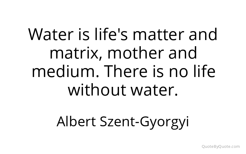 Preview image for this quote by Albert Szent-Gyorgyi