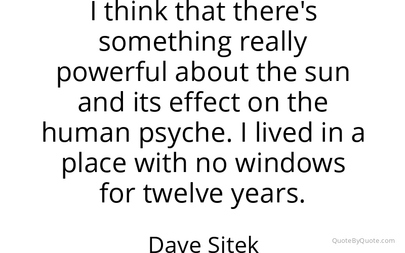 Preview image for this quote by Dave Sitek