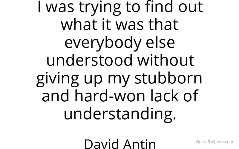 Preview image for this quote by David Antin