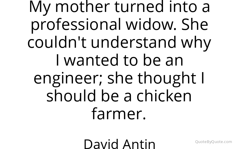 Preview image for this quote by David Antin