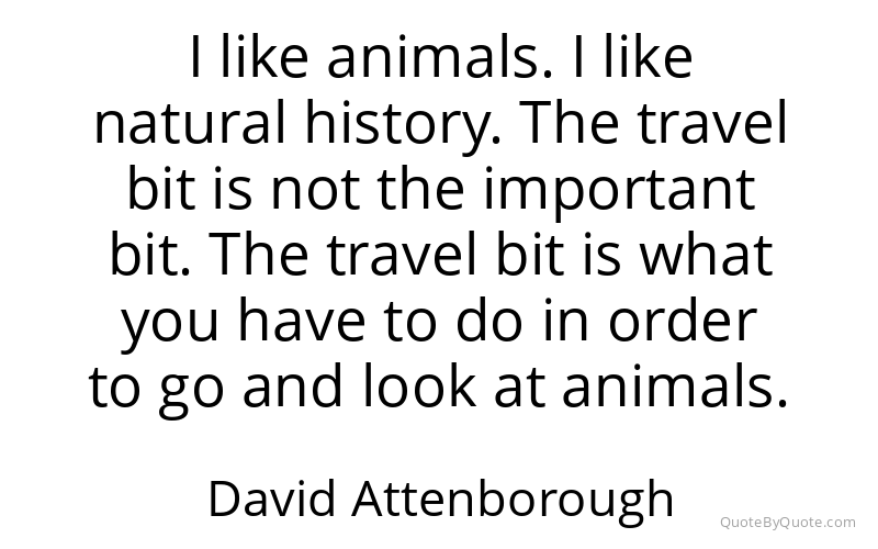 Preview image for this quote by David Attenborough