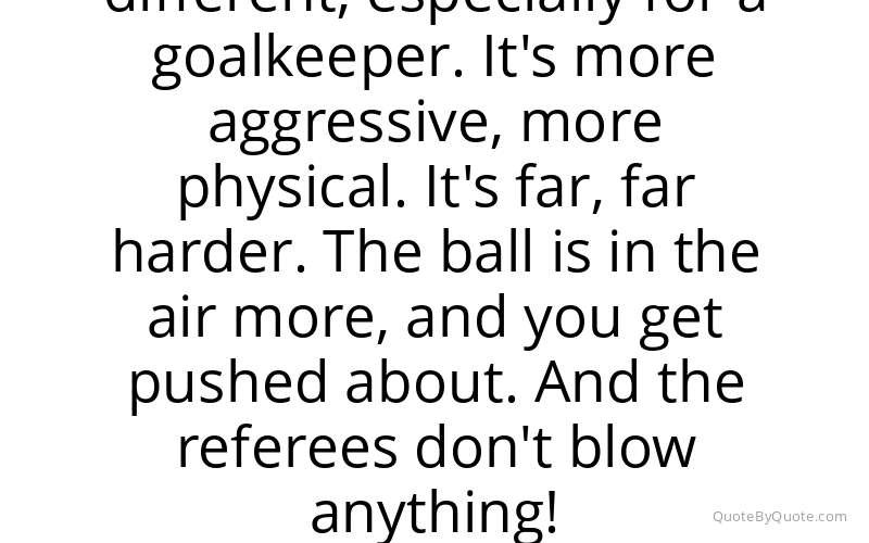 Preview image for this quote by David de Gea