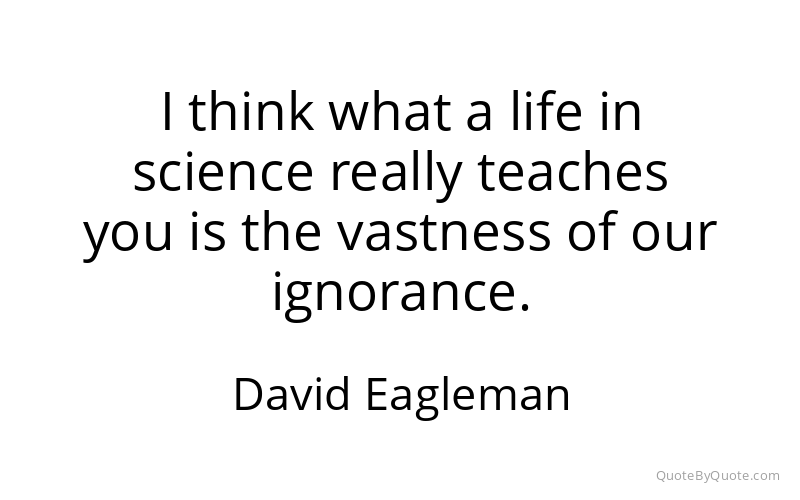 Preview image for this quote by David Eagleman