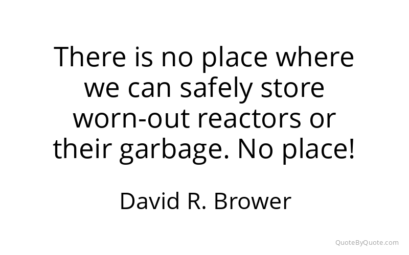 Preview image for this quote by David R. Brower