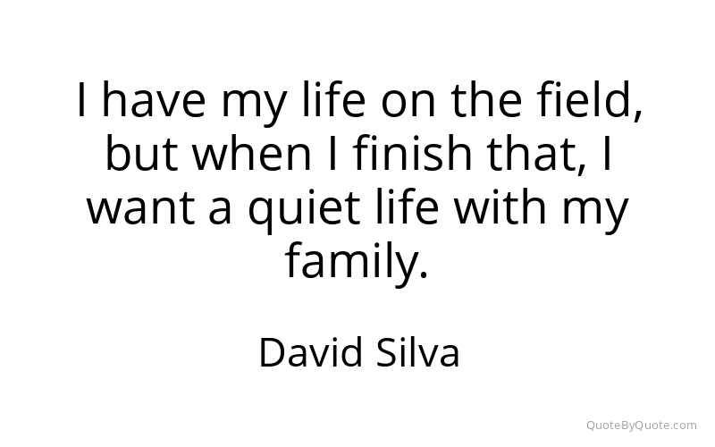 Preview image for this quote by David Silva