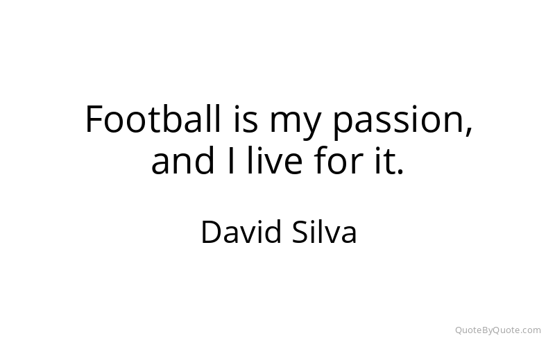 Preview image for this quote by David Silva