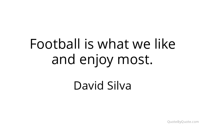 Preview image for this quote by David Silva