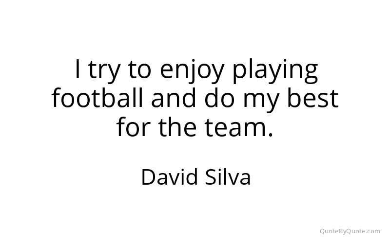 Preview image for this quote by David Silva