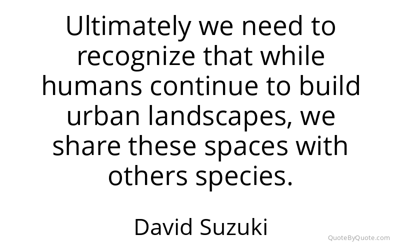 Preview image for this quote by David Suzuki