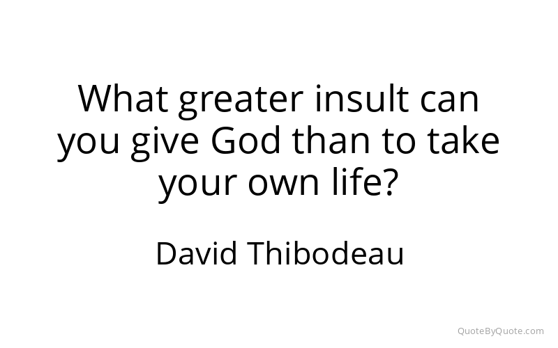 Preview image for this quote by David Thibodeau