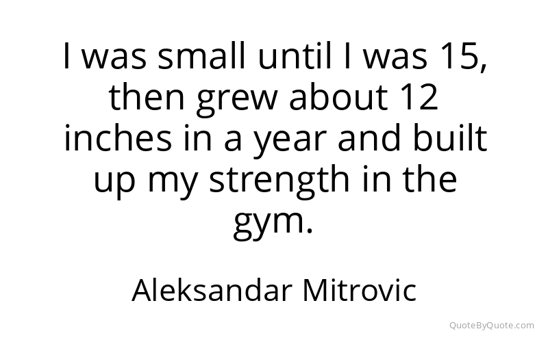 Preview image for this quote by Aleksandar Mitrovic