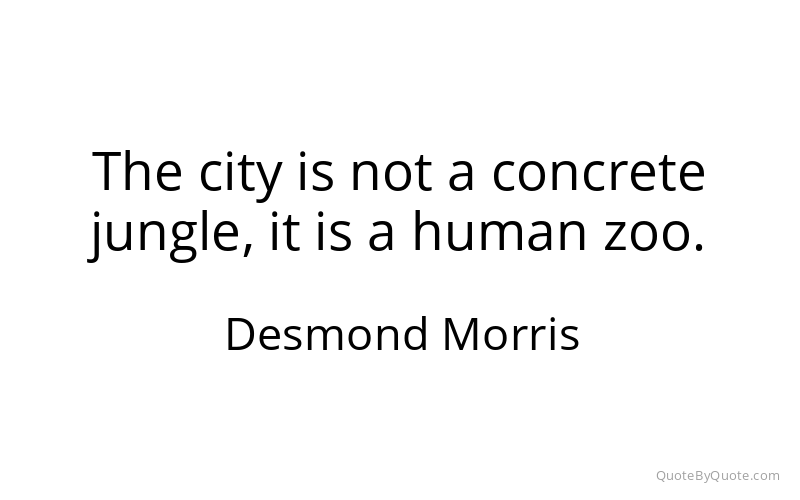 Preview image for this quote by Desmond Morris