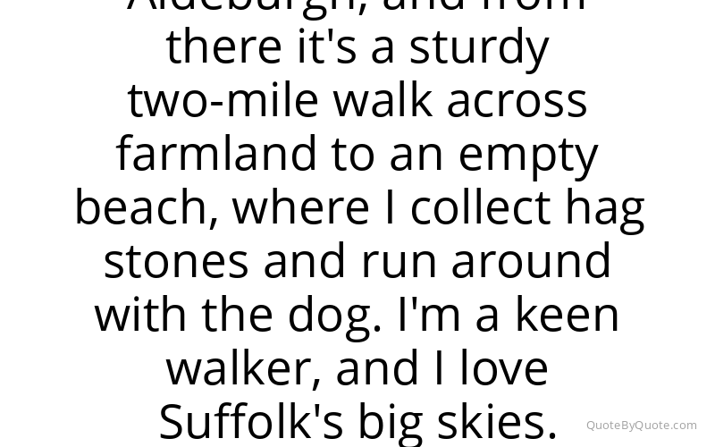 Preview image for this quote by Diana Quick