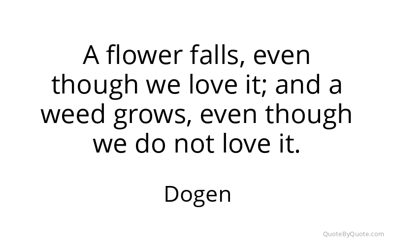 Preview image for this quote by Dogen