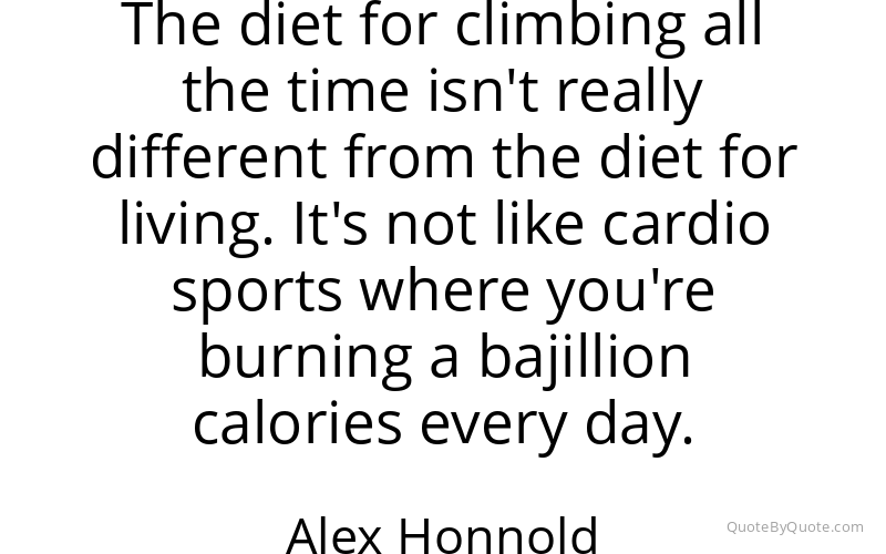 Preview image for this quote by Alex Honnold