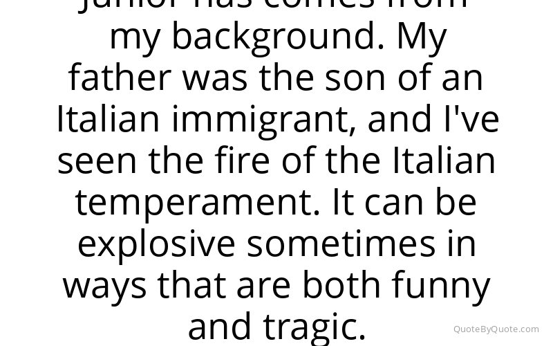 Preview image for this quote by Dominic Chianese