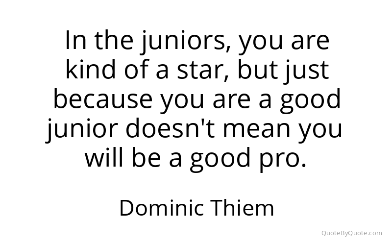 Preview image for this quote by Dominic Thiem