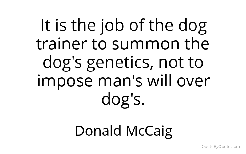 Preview image for this quote by Donald McCaig