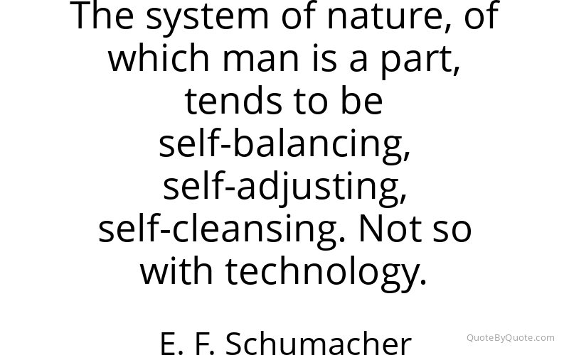 Preview image for this quote by E. F. Schumacher