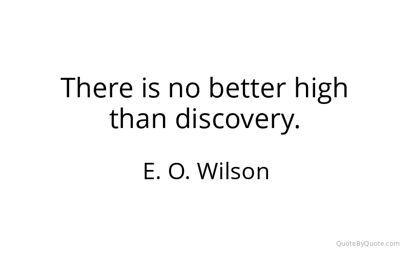 Preview image for this quote by E. O. Wilson