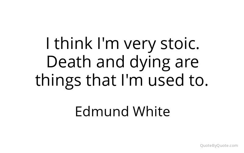 Preview image for this quote by Edmund White