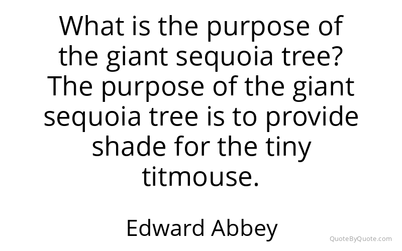Preview image for this quote by Edward Abbey