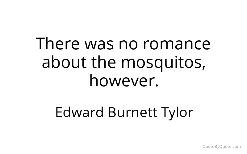 Preview image for this quote by Edward Burnett Tylor