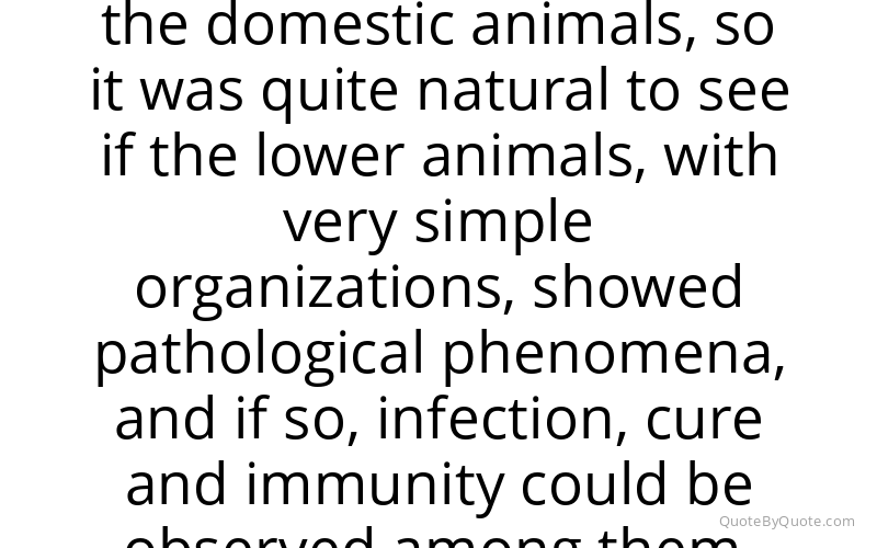Preview image for this quote by Elie Metchnikoff