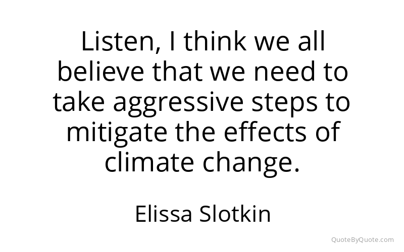 Preview image for this quote by Elissa Slotkin