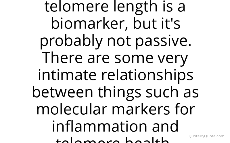 Preview image for this quote by Elizabeth Blackburn