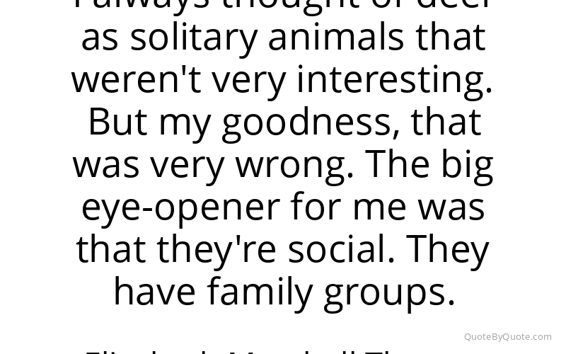 Preview image for this quote by Elizabeth Marshall Thomas