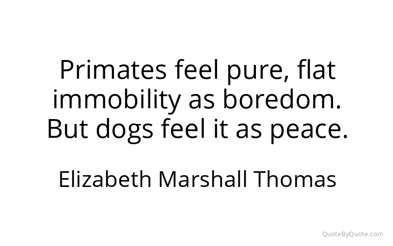Preview image for this quote by Elizabeth Marshall Thomas