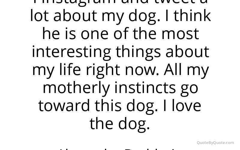 Preview image for this quote by Alexandra Daddario