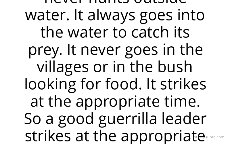 Preview image for this quote by Emmerson Mnangagwa