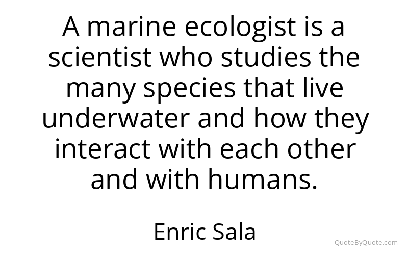 Preview image for this quote by Enric Sala