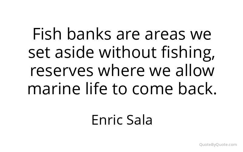 Preview image for this quote by Enric Sala