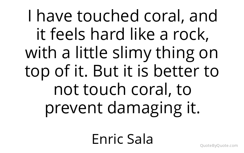 Preview image for this quote by Enric Sala