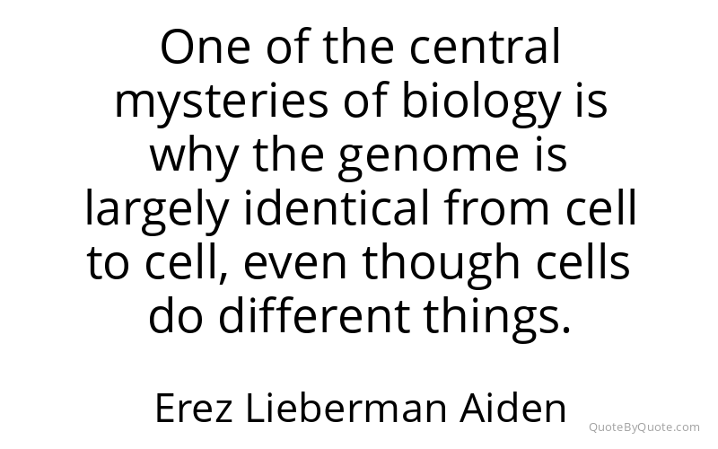 Preview image for this quote by Erez Lieberman Aiden