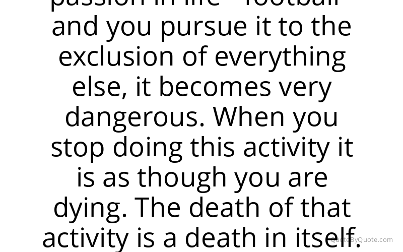 Preview image for this quote by Eric Cantona