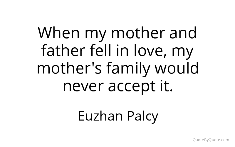 Preview image for this quote by Euzhan Palcy