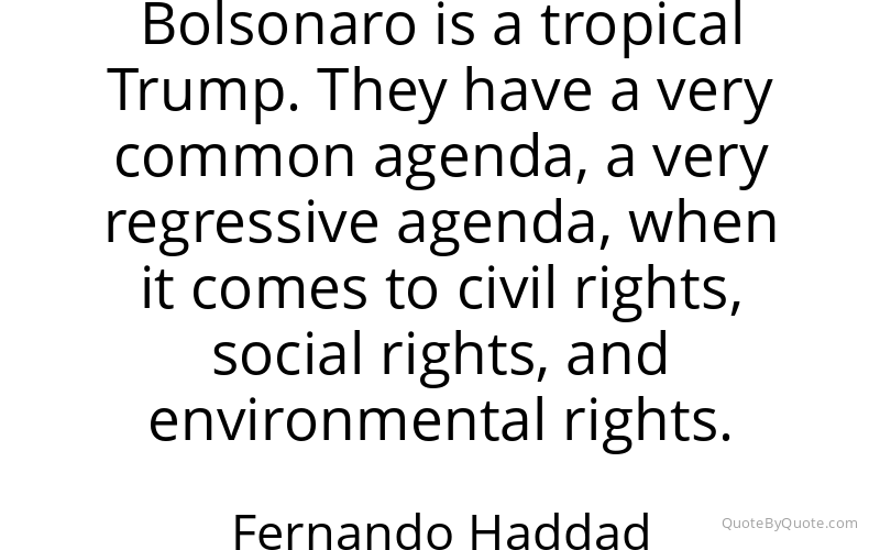 Preview image for this quote by Fernando Haddad