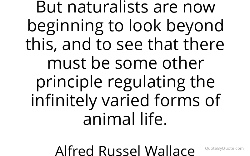 Preview image for this quote by Alfred Russel Wallace
